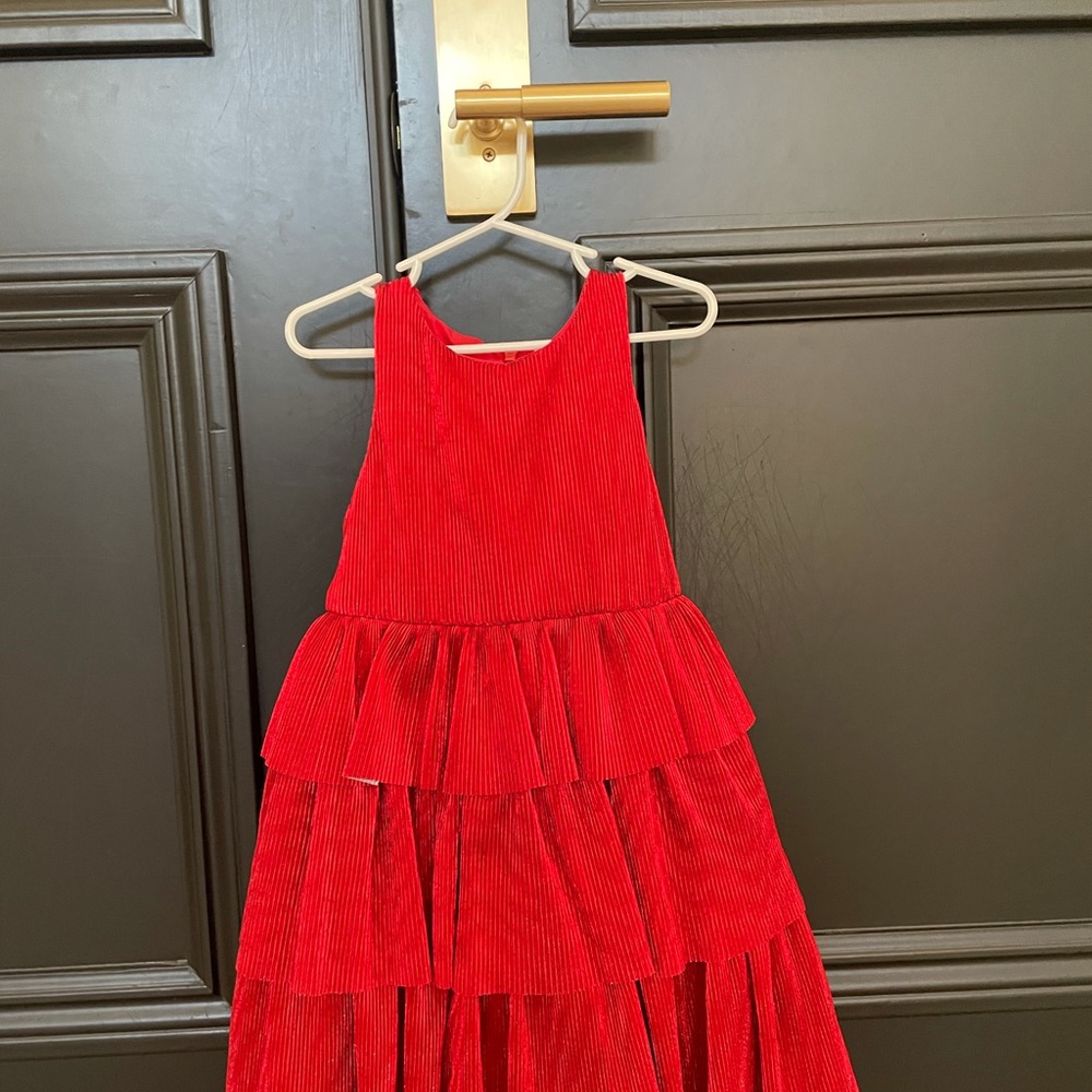 Mini Biden Xmas dress